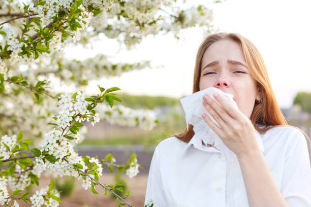 Cedar Pollen Allergy: Causes, Symptoms, Treatment