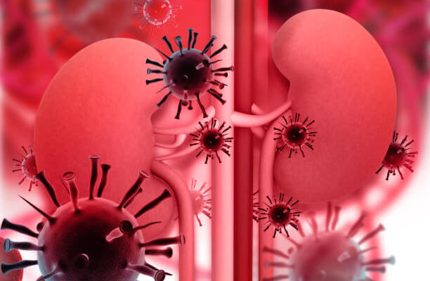 7 Signs of Kidney Infection