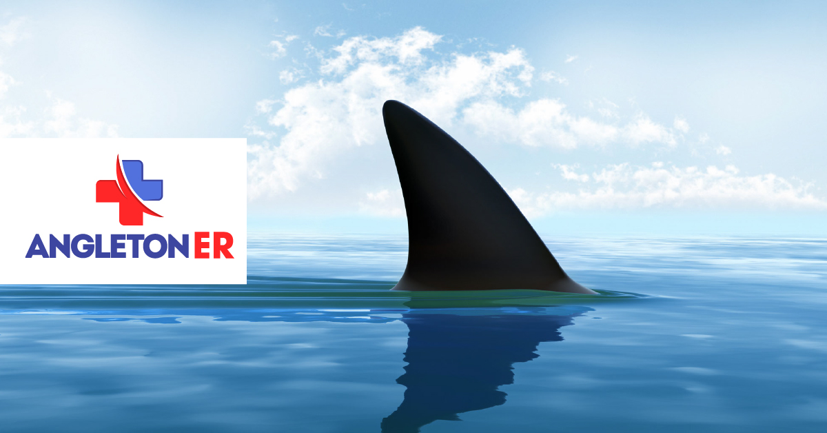 Potential Dangers of Swimming in the Sea